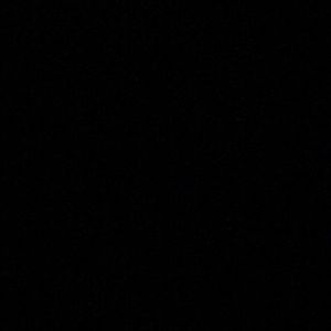 Meet your Posher, Frankie